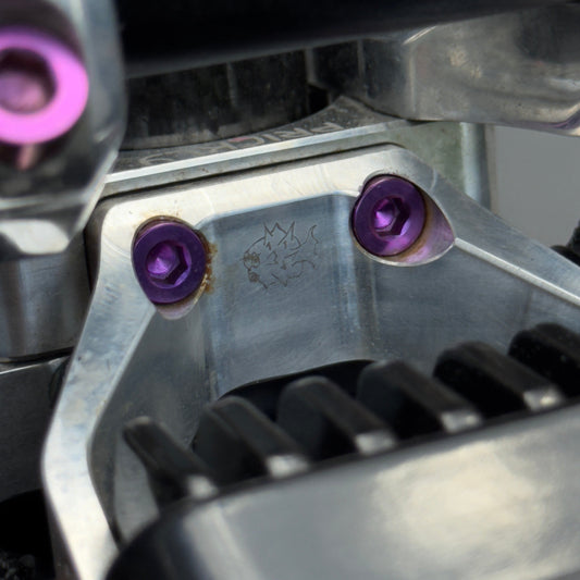 Pink Prickly Headlight Mount Bolts (Set of 2)